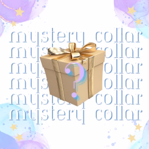 Mystery Beaded Dog Collar | Necklace