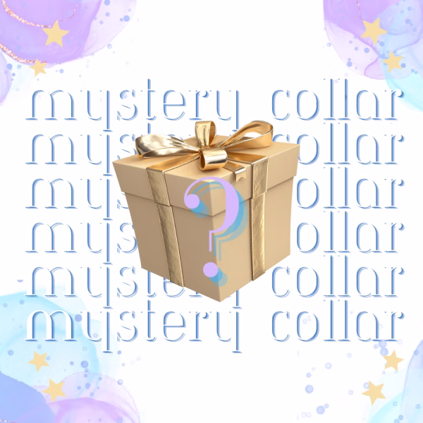 Mystery Beaded Dog Collar | Necklace