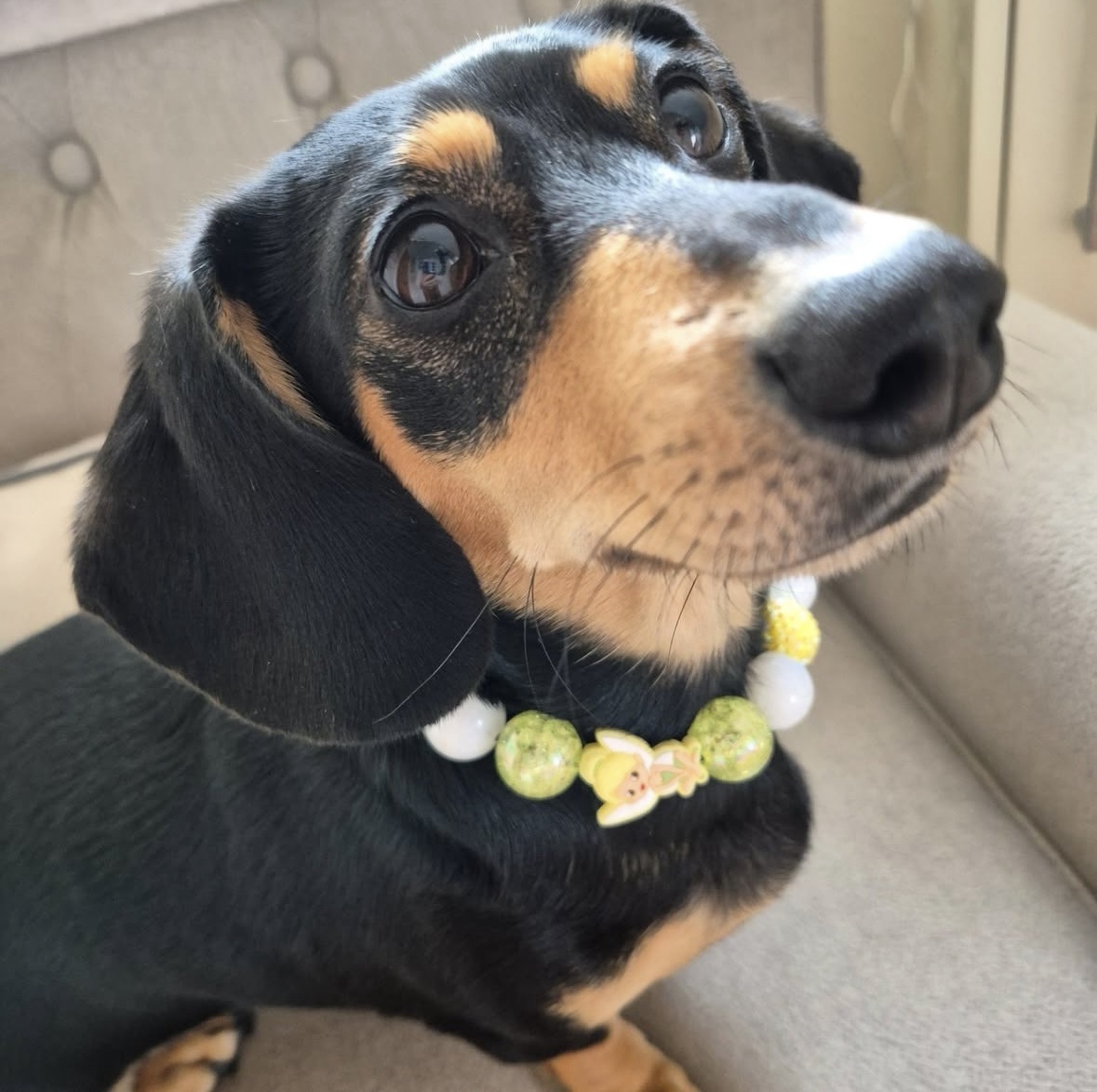 Tinkerbell Beaded Dog Collar | Necklace - Image 2