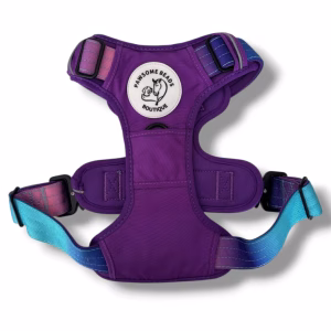 Photo of Pawsome Beads Boutique tactical all-terraine harness in purple and blue