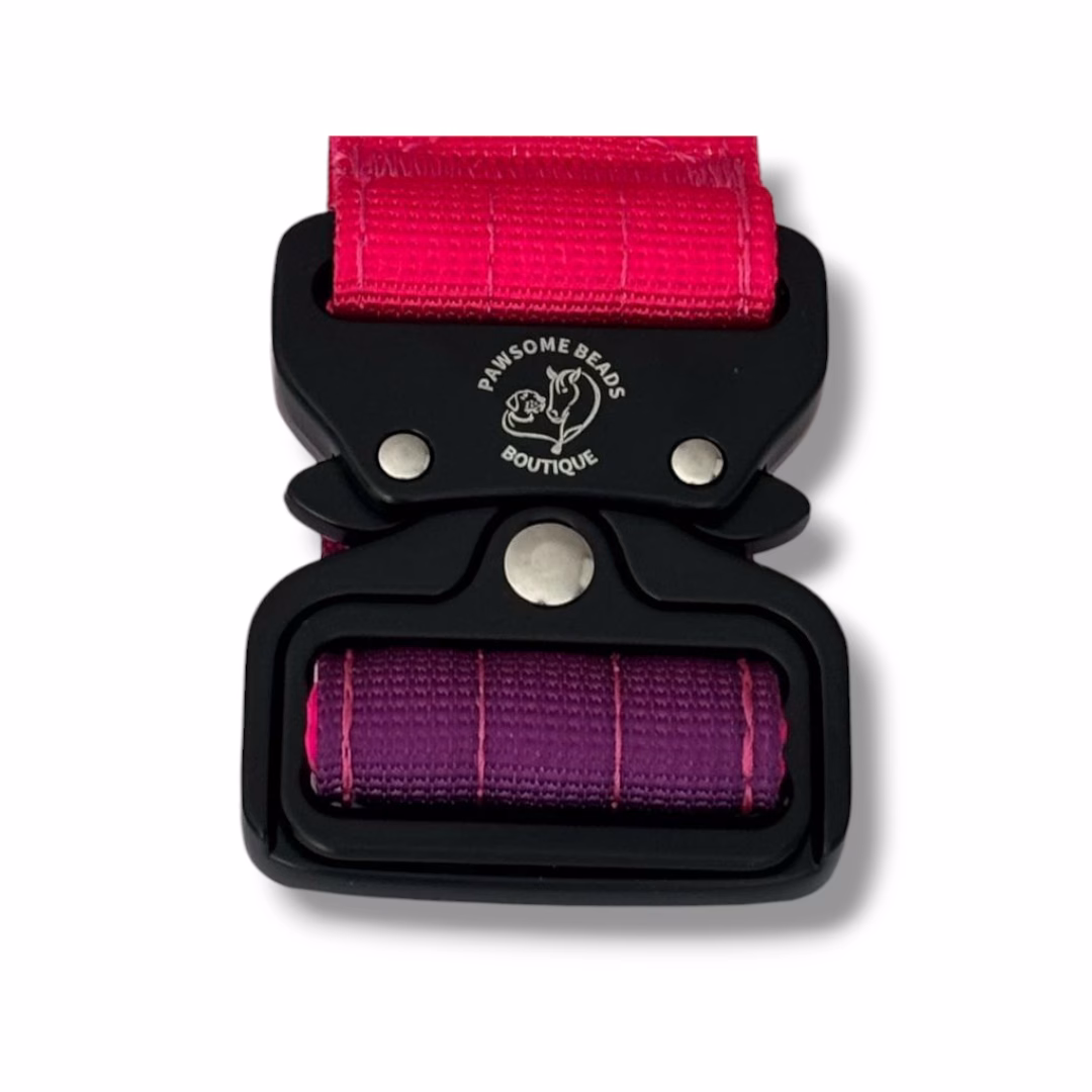 Photo of Pawsome Beads Boutique Dual Handle Lead buckle in pink and purple