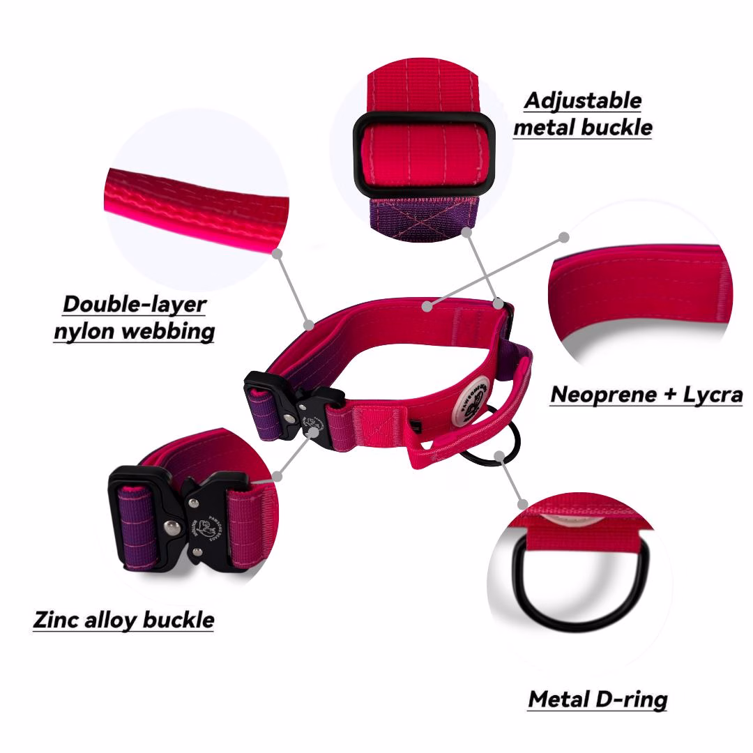 Photo of Pawsome Beads Boutique Tactical Collar in Pink & Purple description picture