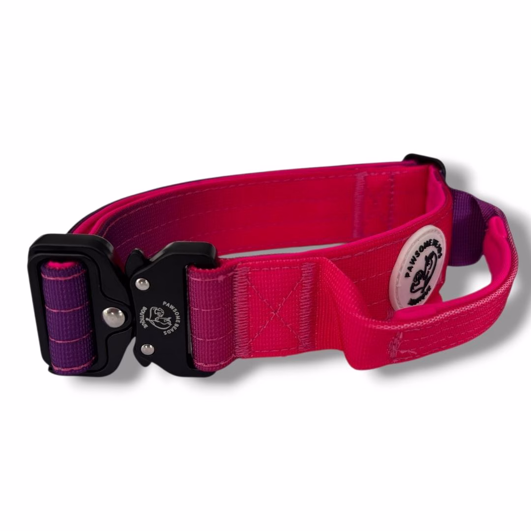 Photo of Pawsome Beads Boutique Tactical Collar in Pink & Purple