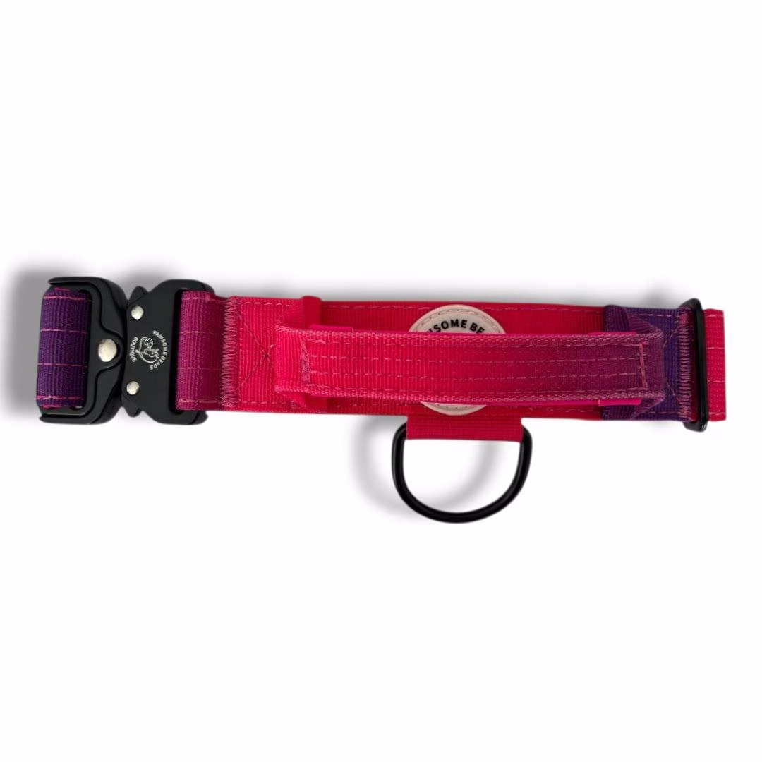 Beads Boutique Tactical Collar in Pink & Purple