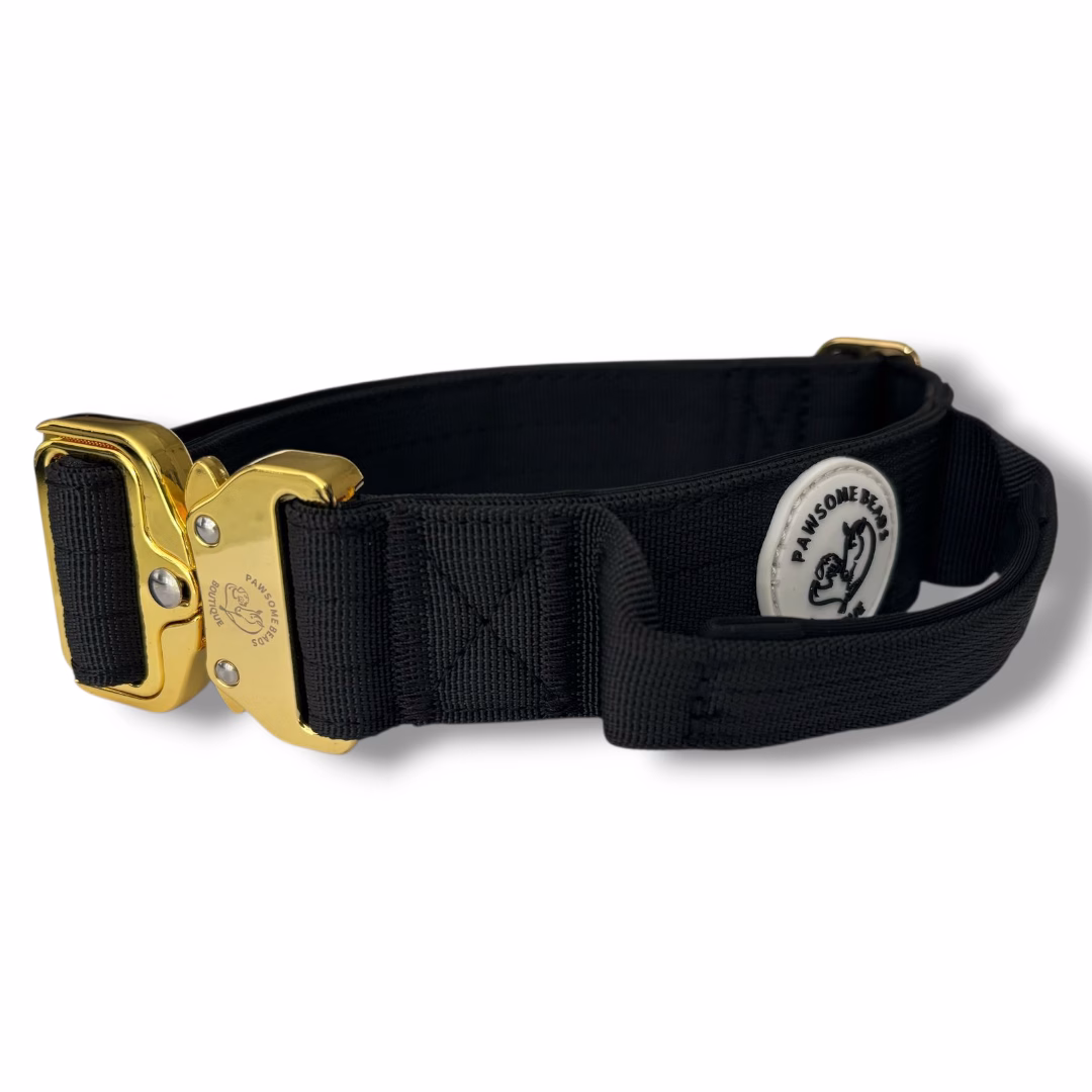 Photo of Pawsome Beads Boutique tactical Collar in Black and Gold