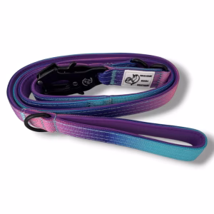 Photo of Pawsome Beads Boutique Dual Handle Lead in purple and blue