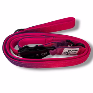 Photo of Pawsome Beads Boutique Dual Handle Lead in Pink & Purple