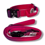 Photo of Pawsome Beads Boutique Dual Handle Lead and Tactical Collar set in Pink & Purple