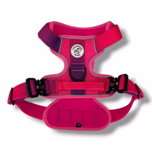 Photo of Pawsome Beads Boutique tactical all-terraine harness in Pink & Purple