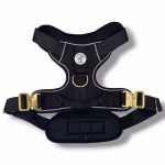 Photo of Pawsome Beads Boutique tactical all-terraine harness in Black and Gold