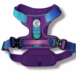 Photo of Pawsome Beads Boutique tactical all-terraine harness in purple and blue