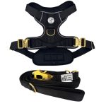 Harness and Lead Set from Pawsome Beads Boutique. Black with gold buckles