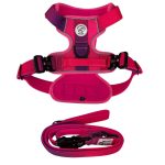 Harness and Lead Set from Pawsome Beads Boutique. Pink & Purple with black buckles