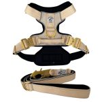 Harness and Lead Set from Pawsome Beads Boutique. Cream with gold buckles