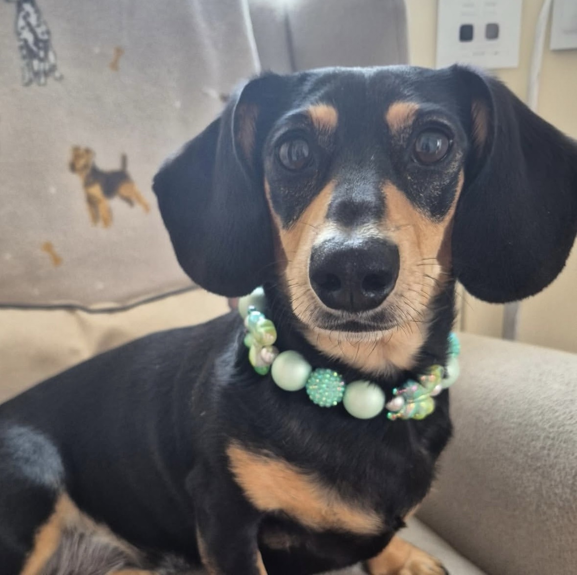 Iridescent Green Butterfly Beaded Dog Collar | Necklace - Image 2